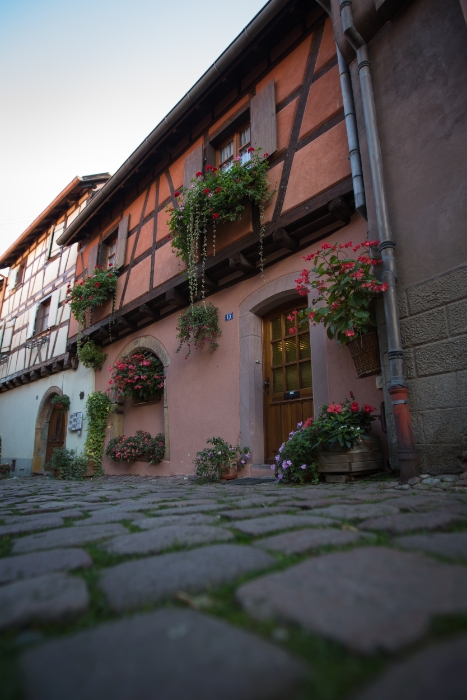 Eguisheim - 154